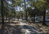 Flower Camping Monplaisir foto 21