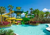 The Grove Resort & Water Park Orlando foto 3