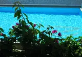 Zest Exclusive Hotel & Spa foto 1