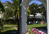 Fortunella foto 28
