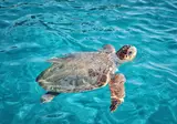 Ontdek Zakynthos vanuit Argassi foto 1