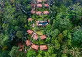 Nandini Jungle Resort & Spa foto 24