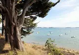 Résidence Odalys Référence Les Iles du Morbihan foto 3