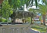 Hotel Athos foto 13