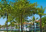 Gran Ventana Beach Resort foto 13