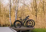 Vakantiepark Woodz Lodges foto 8