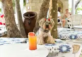 Acrotel Elea Beach foto 26