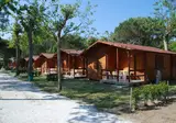 Club Del Sole Viareggio foto 7