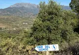 Finca del Silencio foto 27