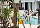 Elista Hotel & Spa foto 17
