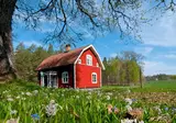 8-daagse rondreis Ontdek Zweden foto 3