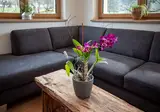 Appartementen Höllwarth foto 6