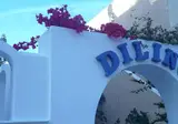 Dilino Hotel foto 11