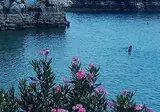 Efchi Suites 1904 foto 9