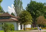L Ile Du Rhin foto 8