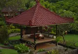 The Damai foto 24
