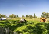 Camping Papillon Kinrooi foto 14
