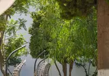 Club Beyy Resort Hotel foto 18