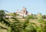 Camping Tenuta Tredici Ulivi foto 14