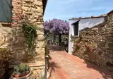 Tenuta Luogo Marchese foto 13