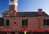 San Marco Palace foto 27