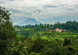 Fascinerend Indonesië foto 9