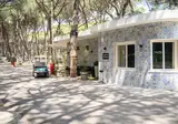 Camping Mare Pineta Paestum foto 3