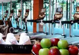 Marriott Reforma foto 13