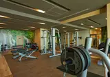 Secrets Sunny Beach Resort & Spa foto 37