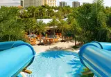 Hyatt Regency Coconut Point Resort & Spa foto 19