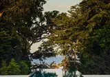 Mandarin Oriental Desaru Coast foto 12