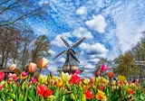 Nederland in bloei foto 5