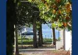 Camping Lido Di Sesto foto 4