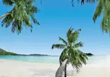 Berjaya Praslin Resort foto 16