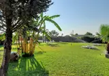 Lilybeo Village foto 4