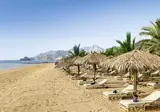 Miramar Al Aqah Beach Resort foto 13