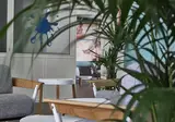 Compostela Beach Golf Club foto 5