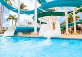 Sunscape Dominicus La Romana foto 20
