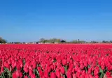 Camping De Lage Werf foto 13
