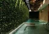 The Reef 28 foto 26