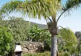 Las Casitas de Tijarafe foto 17