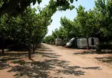 Camping La Llosa foto 2