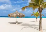 Manchebo Beach Resort & Spa foto 23