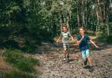 Brunssummerheide foto 15