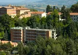 Ilgo foto 1
