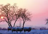 Kerst in Zuid-Limburg, Slenaken foto 3