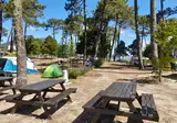 Caminha foto 5