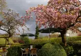 Landhotel De Hoofdige Boer foto 12