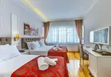 Beyazit Palace Hotel foto 4