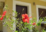 Villa Medusa foto 23